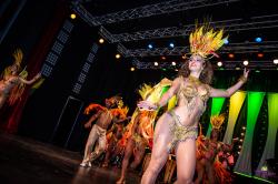 AKONI MENDES - Danseuse professionnelle Brésilienne, cours de danse brésilienne, spectacle et show brésilien